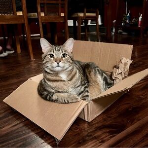 Meet your Posher, Kimberlee